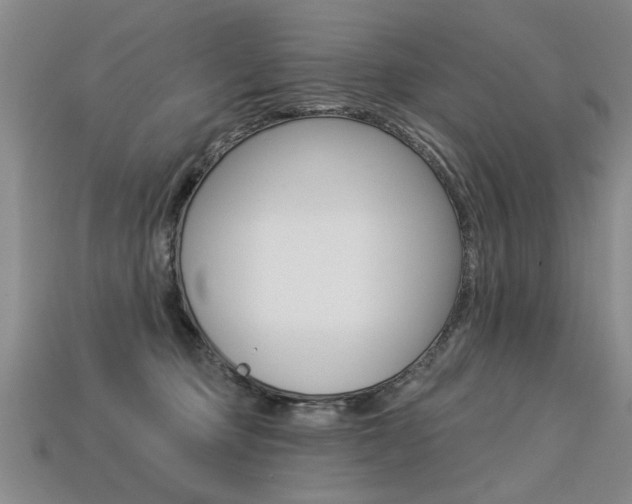 X0000113270373200909101315