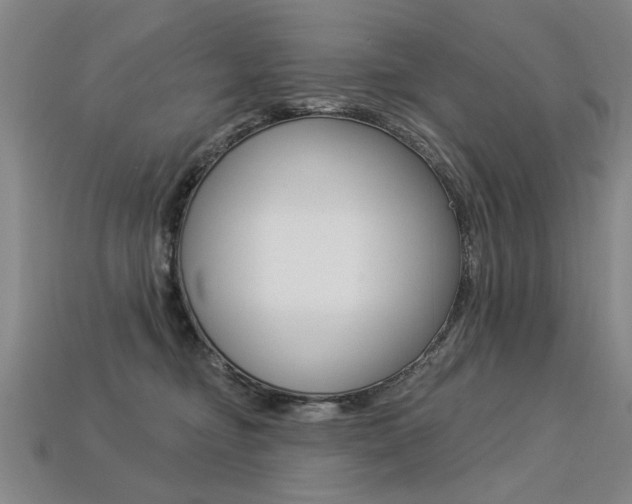 X0000113270374200909101316