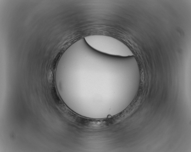 X0000113270375200909101316