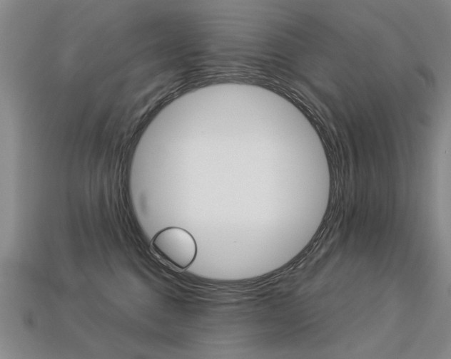 X0000113270376200909101316