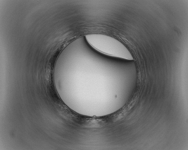 X0000113270379200909101316
