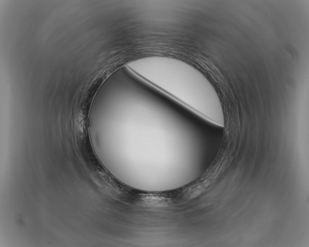 X0000113270380200909101316