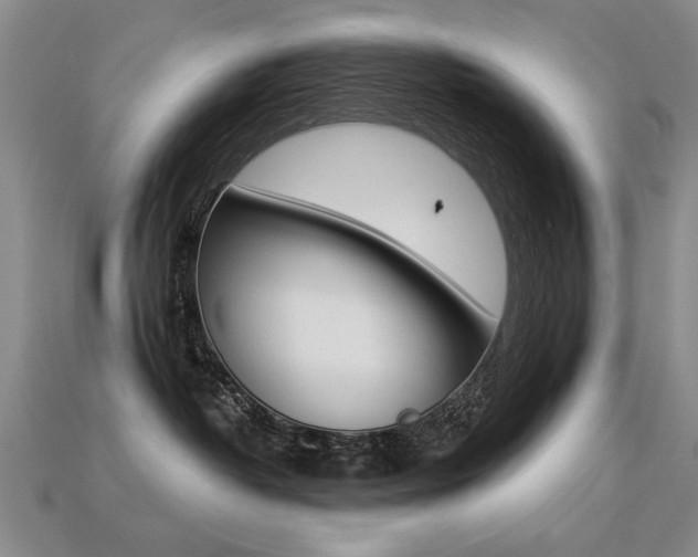X0000113270382200909101316