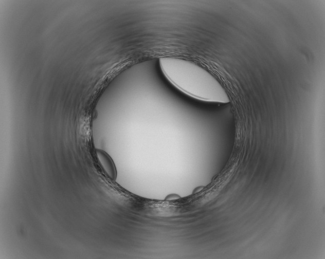 X0000113270383200909101316