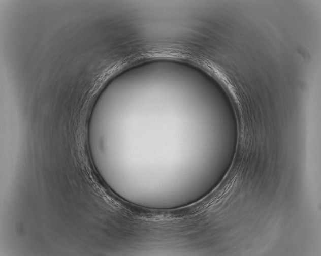 X0000113270385200909101315