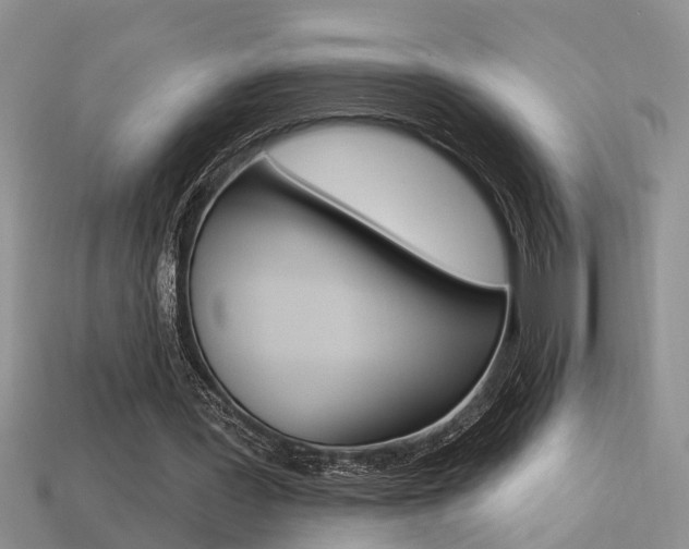 X0000113270387200909101315