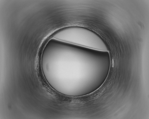 X0000113270388200909101315