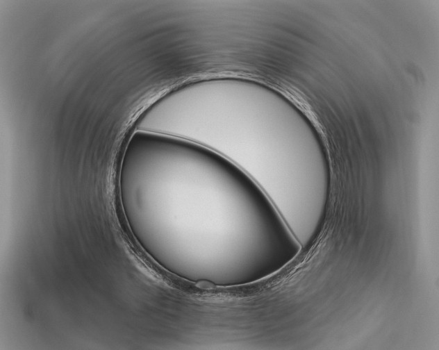 X0000113270389200909101315