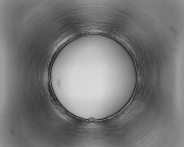 X0000113270390200909101315