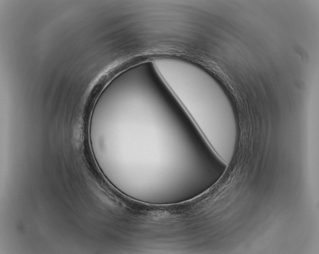 X0000113270392200909101315