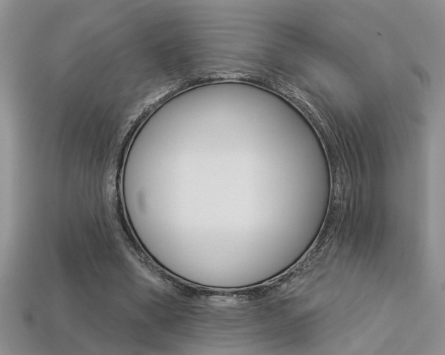 X0000113270394200909101315