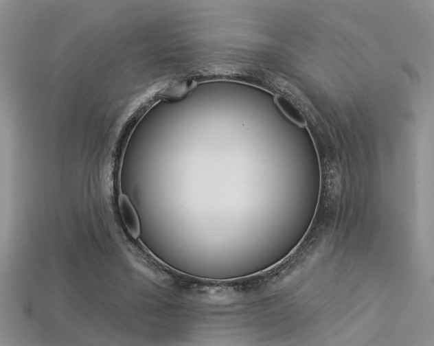 X0000113270395200909101315