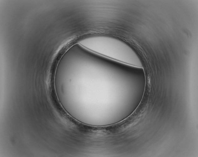 X0000113270396200909101315