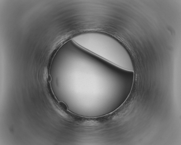 X0000113270397200909101315