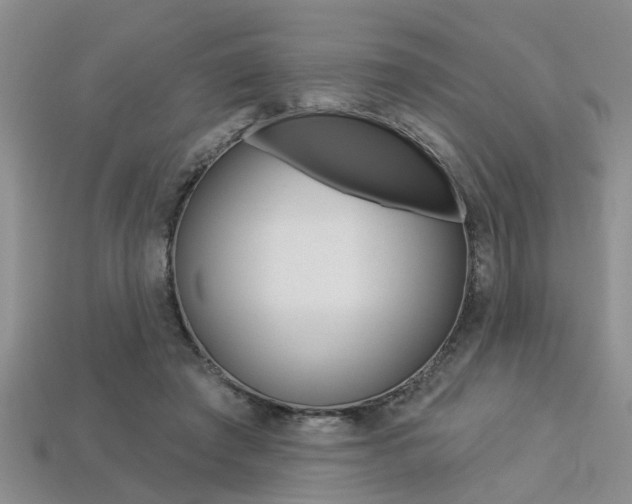 X0000113270401200909101315