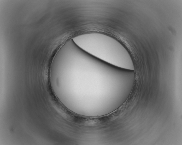 X0000113270402200909101315