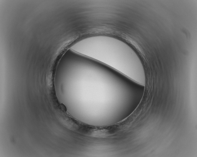 X0000113270403200909101315