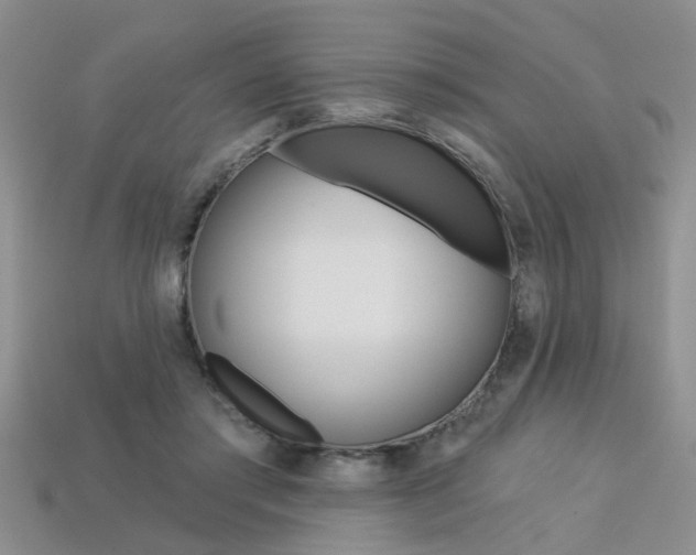 X0000113270405200909101315