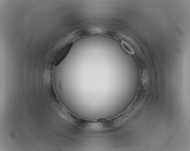 X0000113270409200909101315