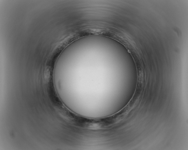 X0000113270412200909101315