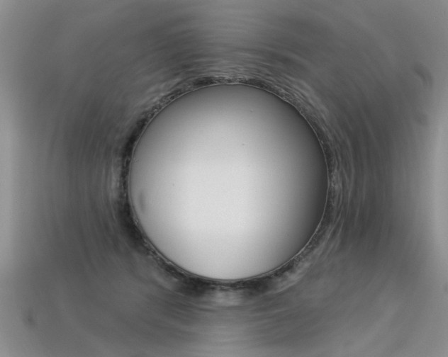 X0000113270416200909101315