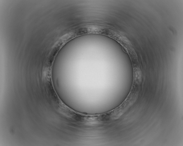 X0000113270419200909101315