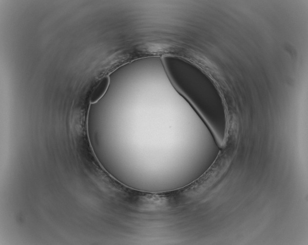 X0000113270421200909101315