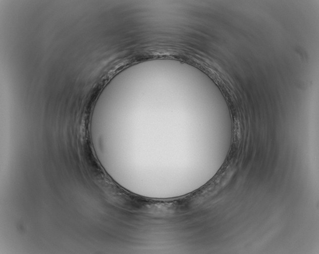 X0000113270422200909101315