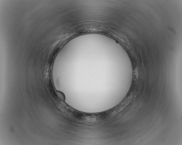 X0000113270423200909101315