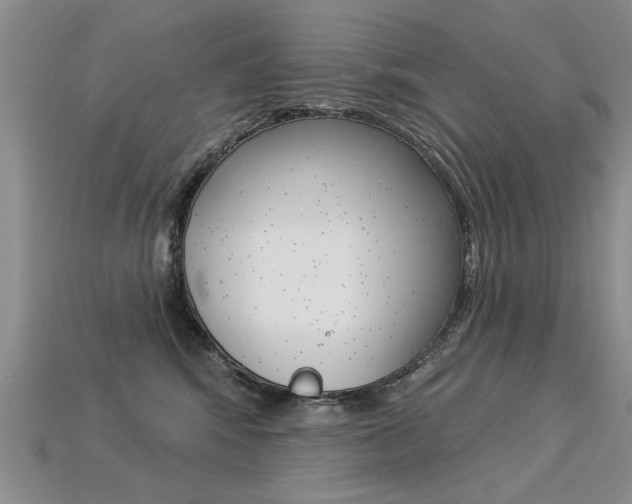 X0000113270424200909101315