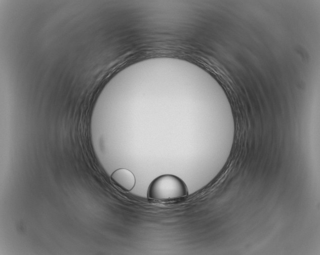 X0000113270425200909101314