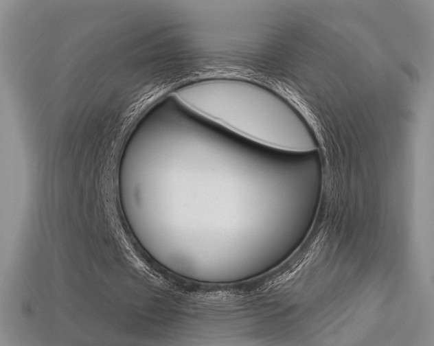 X0000113270433200909101314