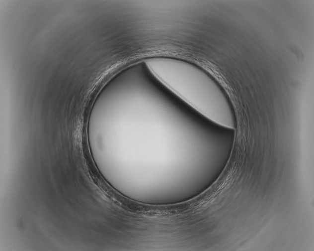 X0000113270434200909101314