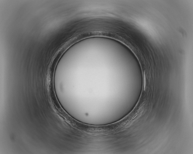 X0000113270435200909101314
