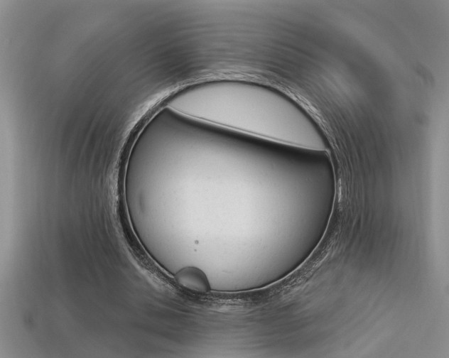 X0000113270438200909101314