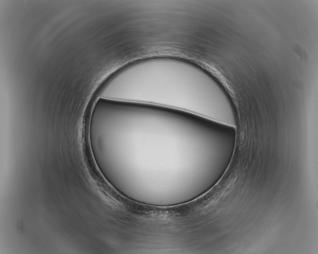 X0000113270439200909101314