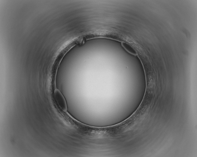 X0000113270440200909101314