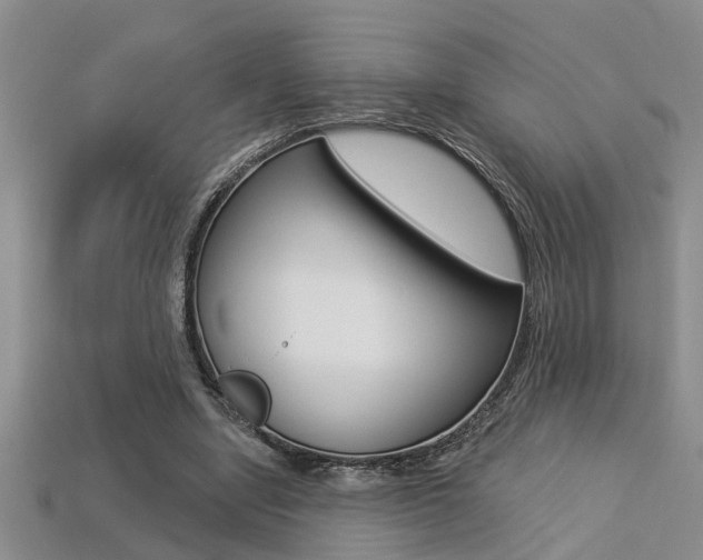 X0000113270442200909101314