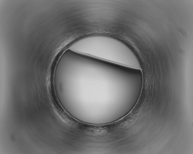 X0000113270443200909101314