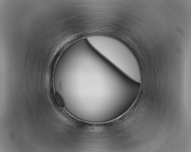X0000113270444200909101314
