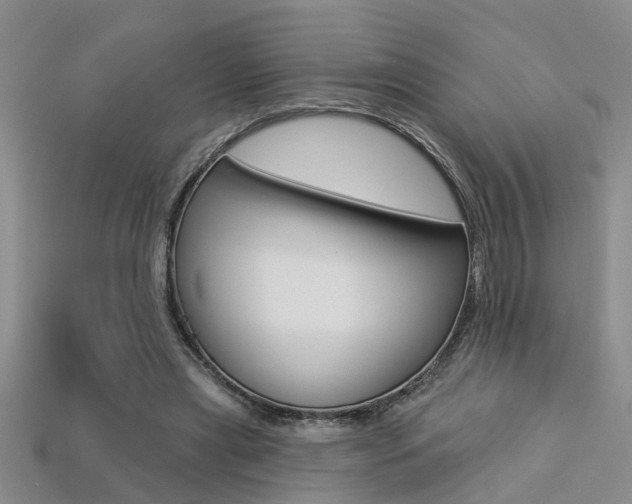 X0000113270445200909101314