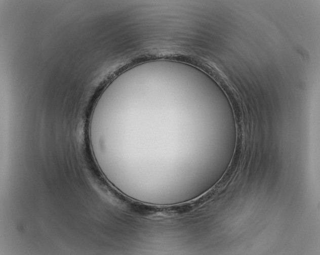 X0000113270447200909101314