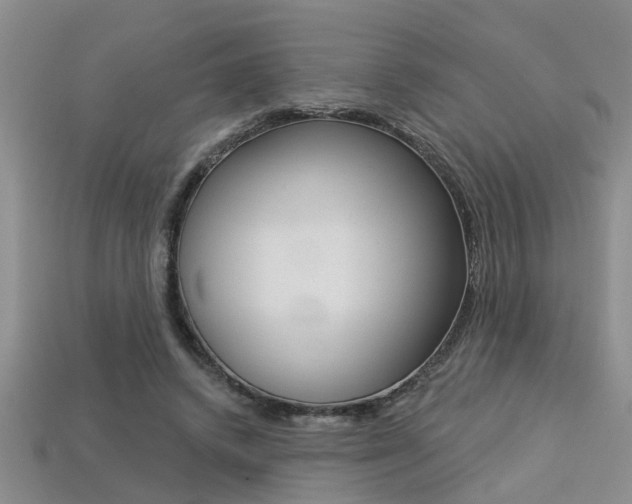 X0000113270448200909101314