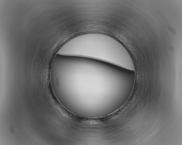 X0000113270449200909101314