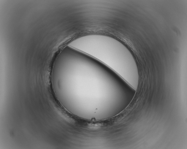 X0000113270450200909101314