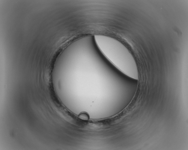 X0000113270455200909101314