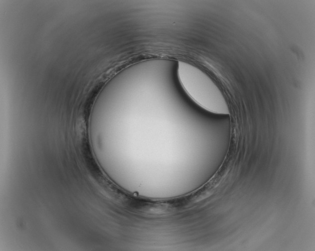 X0000113270459200909101314