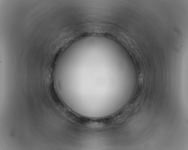 X0000113270464200909101314