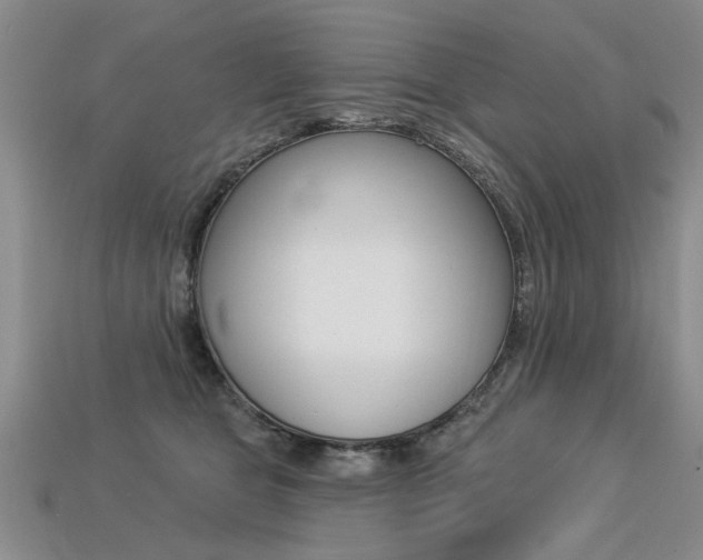 X0000113270469200909101314