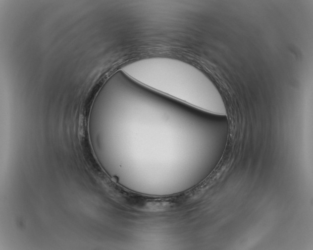 X0000113270470200909101314